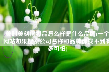 美时美刻化妆品怎么样是什么品牌(一个网站如果搜索公司名称和品牌都找不到有多可怕)