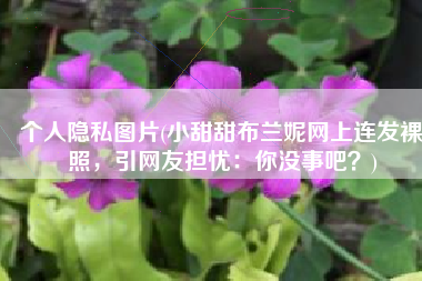 个人隐私图片(小甜甜布兰妮网上连发裸照，引网友担忧：你没事吧？)