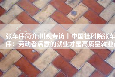 张车伟简介(川观专访丨中国社科院张车伟：劳动者满意的就业才是高质量就业)