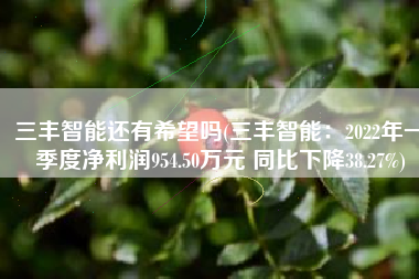 三丰智能还有希望吗(三丰智能：2022年一季度净利润954.50万元 同比下降38.27%)