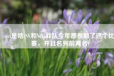 ccl是啥(SV和ViVi战队今年都参加了这个比赛，并且名列前两名)