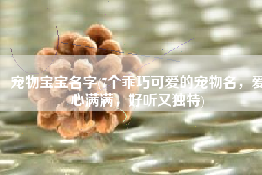 宠物宝宝名字(7个乖巧可爱的宠物名，爱心满满，好听又独特)