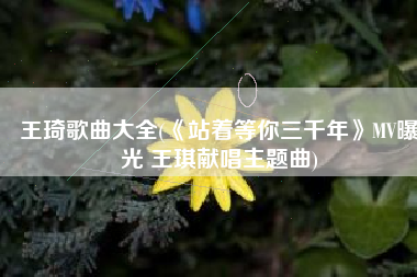 王琦歌曲大全(《站着等你三千年》MV曝光 王琪献唱主题曲)