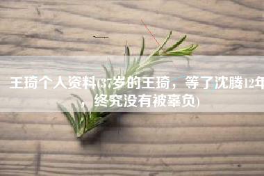 王琦个人资料(37岁的王琦，等了沈腾12年，终究没有被辜负)