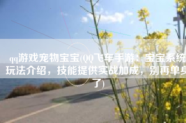 qq游戏宠物宝宝(QQ飞车手游：宝宝系统玩法介绍，技能提供实战加成，别再单身了)