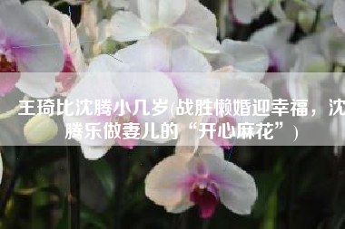 王琦比沈腾小几岁(战胜懒婚迎幸福，沈腾乐做妻儿的“开心麻花”)
