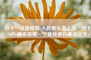 双十一快递疫情(人民巷头条丨当“双十一”遇见疫情 宁夏快递包裹很安全)