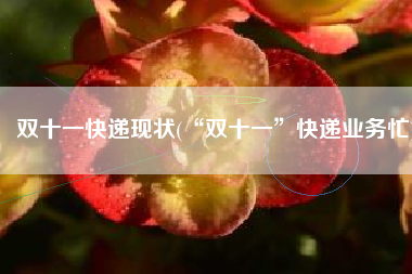 双十一快递现状(“双十一”快递业务忙)