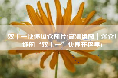 双十一快递爆仓图片(高清组图｜爆仓！你的“双十一”快递在这里)