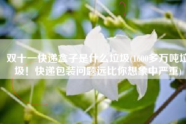 双十一快递盒子是什么垃圾(1600多万吨垃圾！快递包装问题远比你想象中严重)