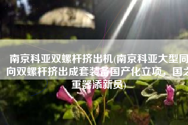 南京科亚双螺杆挤出机(南京科亚大型同向双螺杆挤出成套装备国产化立项，国之重器添新员)