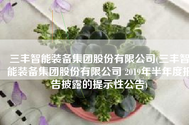三丰智能装备集团股份有限公司(三丰智能装备集团股份有限公司 2019年半年度报告披露的提示性公告)