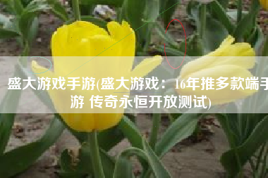 盛大游戏手游(盛大游戏：16年推多款端手游 传奇永恒开放测试)