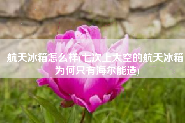 航天冰箱怎么样(七次上太空的航天冰箱，为何只有海尔能造)