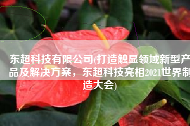 东超科技有限公司(打造触显领域新型产品及解决方案，东超科技亮相2021世界制造大会)