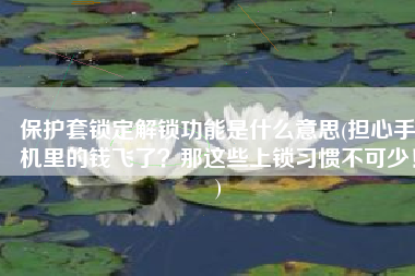 保护套锁定解锁功能是什么意思(担心手机里的钱飞了？那这些上锁习惯不可少！)