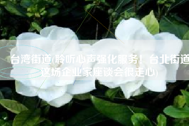 台湾街道(聆听心声强化服务！台北街道这场企业家座谈会很走心)