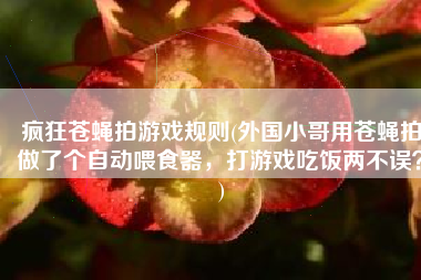 疯狂苍蝇拍游戏规则(外国小哥用苍蝇拍做了个自动喂食器，打游戏吃饭两不误？)