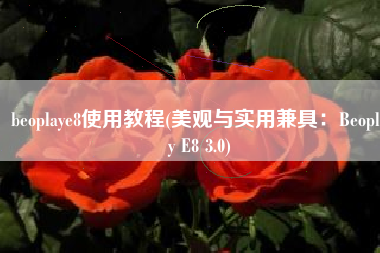 beoplaye8使用教程(美观与实用兼具：Beoplay E8 3.0)