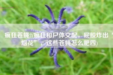疯狂苍蝇2(疯狂和尸体交配，屁股炸出“烟花”，这些苍蝇怎么肥四)