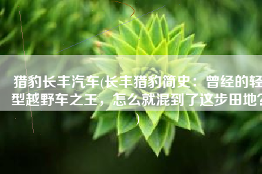 猎豹长丰汽车(长丰猎豹简史：曾经的轻型越野车之王，怎么就混到了这步田地？)