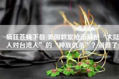 疯狂苍蝇下载(美国教堂枪击案是“大陆人对台湾人”的“种族仇杀”？别逗了)