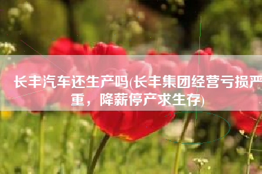 长丰汽车还生产吗(长丰集团经营亏损严重，降薪停产求生存)