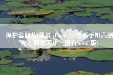 保护套图片(苹果 iPhone 14 全系手机壳曝光：两大两小，没有 mini 版)