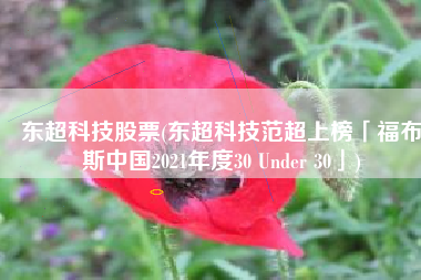 东超科技股票(东超科技范超上榜「福布斯中国2021年度30 Under 30」)