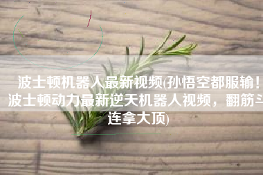 波士顿机器人最新视频(孙悟空都服输！波士顿动力最新逆天机器人视频，翻筋斗连拿大顶)