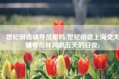 世纪明德辅导员累吗(世纪明德上海交大辅导员林鸿鹏五天的日夜)