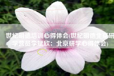 世纪明德培训心得体会(世纪明德北京研学营员李斌欣：北京研学心得体会)