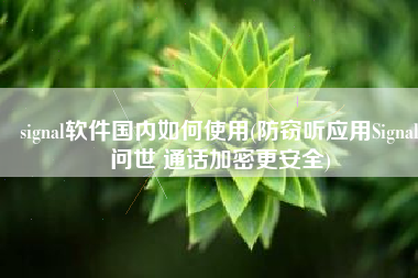 signal软件国内如何使用(防窃听应用Signal问世 通话加密更安全)