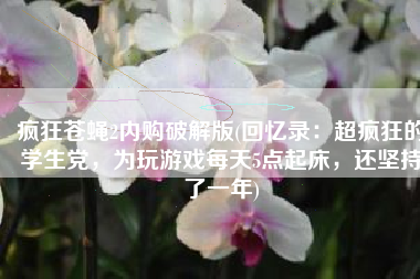 疯狂苍蝇2内购破解版(回忆录：超疯狂的学生党，为玩游戏每天5点起床，还坚持了一年)