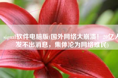signal软件电脑版(国外网络大崩溃！20亿人发不出消息，集体沦为网络难民)