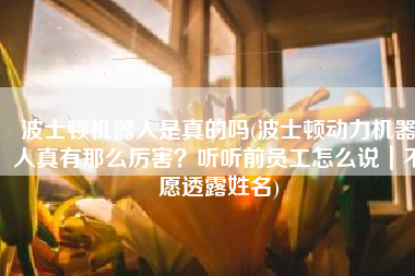 波士顿机器人是真的吗(波士顿动力机器人真有那么厉害？听听前员工怎么说｜不愿透露姓名)