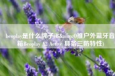 beoplay是什么牌子(B&O推户外蓝牙音箱Beoplay A2 Active 具备三防特性)