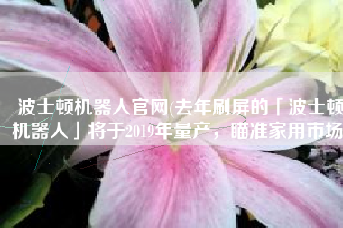 波士顿机器人官网(去年刷屏的「波士顿机器人」将于2019年量产，瞄准家用市场)