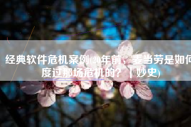 经典软件危机案例(20年前，麦当劳是如何度过那场危机的？｜妙史)