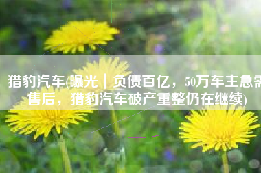 猎豹汽车(曝光｜负债百亿，50万车主急需售后，猎豹汽车破产重整仍在继续)