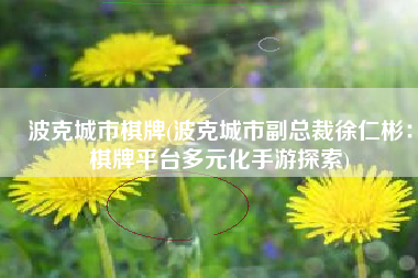 波克城市棋牌(波克城市副总裁徐仁彬：棋牌平台多元化手游探索)