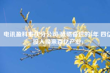 电讯盈科重庆分公司(砥砺奋进的5年 四亿投入换来百亿产业)