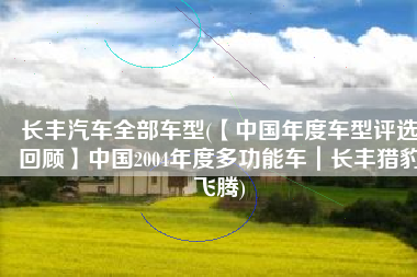长丰汽车全部车型(【中国年度车型评选回顾】中国2004年度多功能车｜长丰猎豹飞腾)