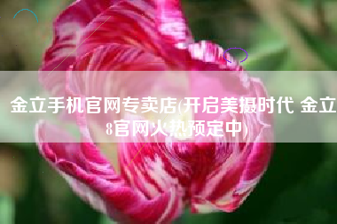 金立手机官网专卖店(开启美摄时代 金立S8官网火热预定中)
