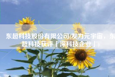 东超科技股份有限公司(发力元宇宙，东超科技获评「深科技企业」)