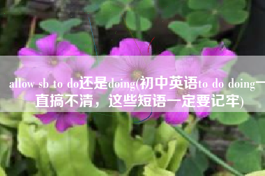 allow sb to do还是doing(初中英语to do doing一直搞不清，这些短语一定要记牢)
