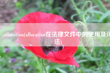 allocation(allocation在法律文件中的使用及译法)