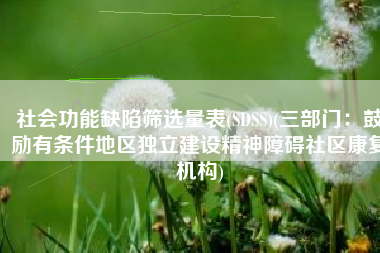 社会功能缺陷筛选量表(SDSS)(三部门：鼓励有条件地区独立建设精神障碍社区康复机构)