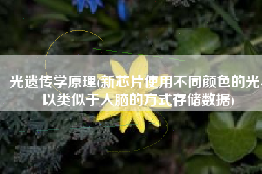 光遗传学原理(新芯片使用不同颜色的光、以类似于人脑的方式存储数据)
