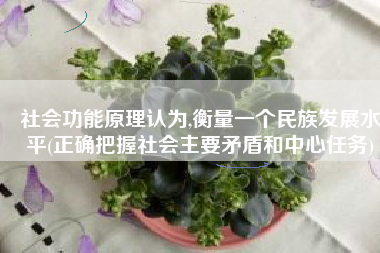 社会功能原理认为,衡量一个民族发展水平(正确把握社会主要矛盾和中心任务)